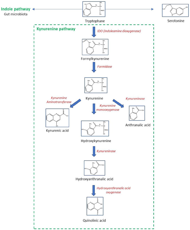 Figure 3.