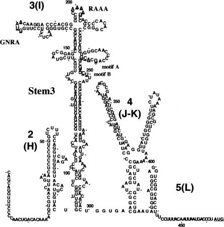 FIGURE 1.