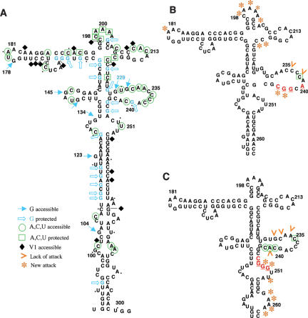 FIGURE 4.