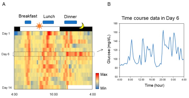 Figure 11