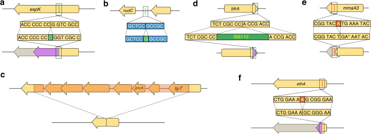 Fig 4