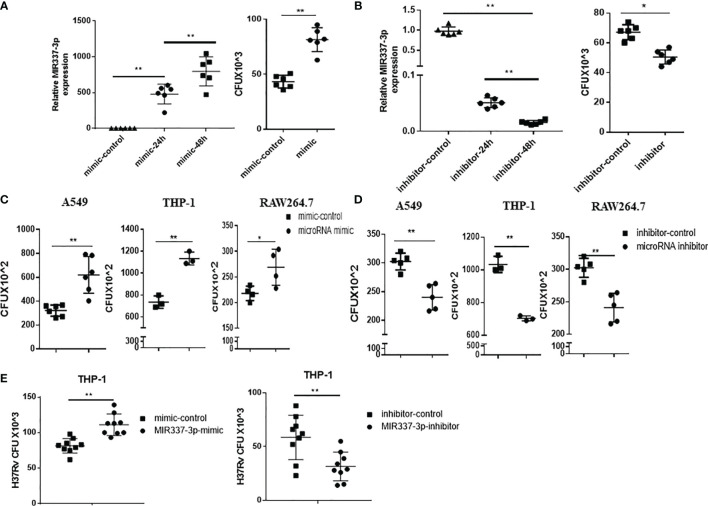 Figure 3