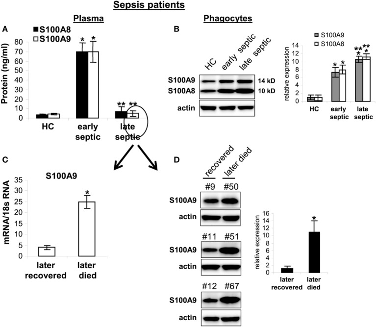 Figure 10