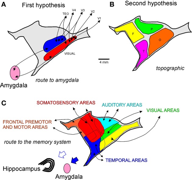 Figure 10