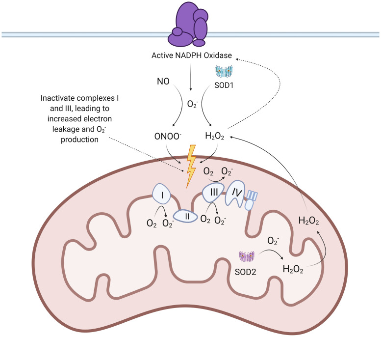 FIGURE 3