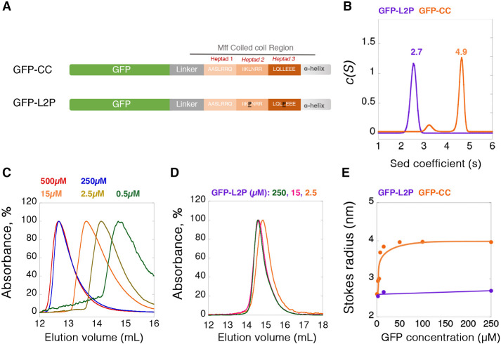 FIGURE 3: