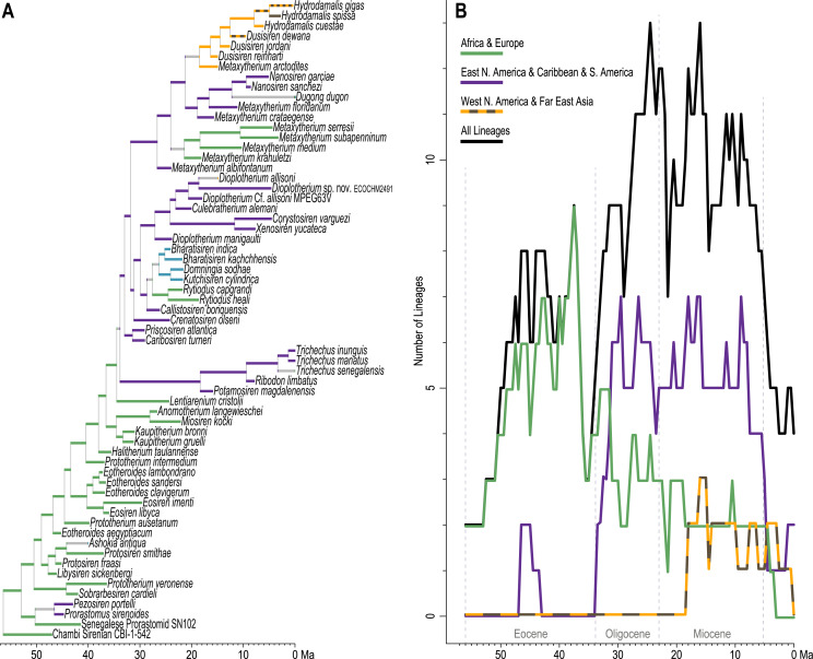 Total evidence time-scaled phylogenetic and biogeographic models for ...