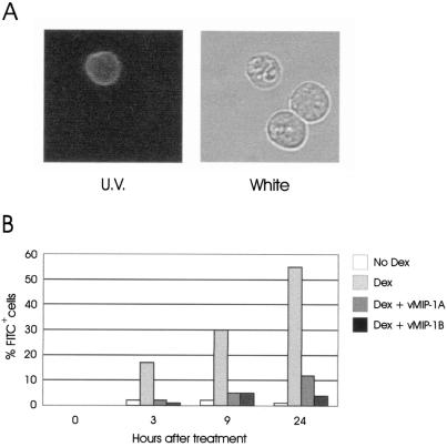 FIG. 5