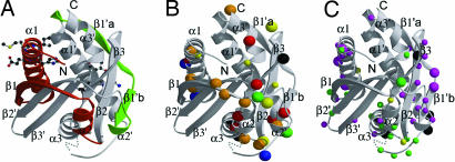 Fig. 4.