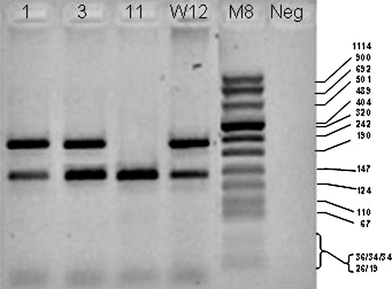 Fig. 4