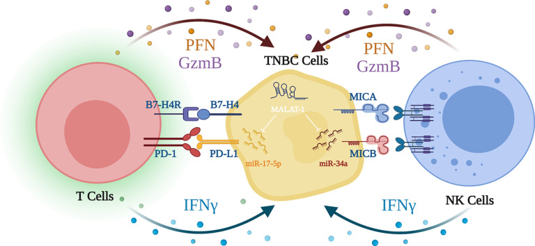 Image, graphical abstract