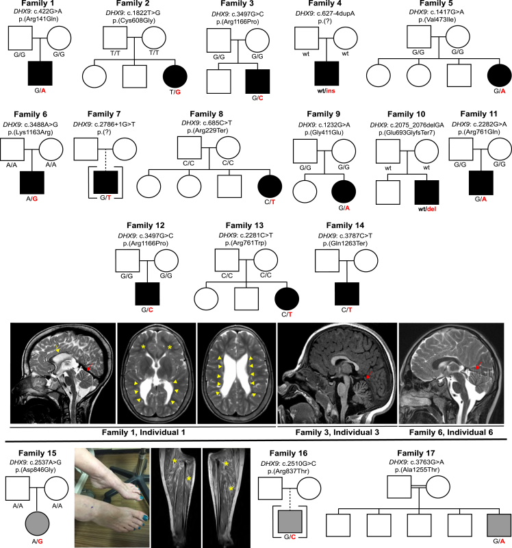 Figure 2