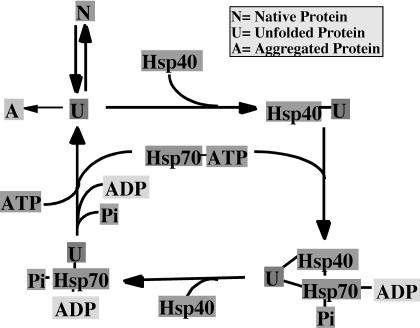 Fig 2.