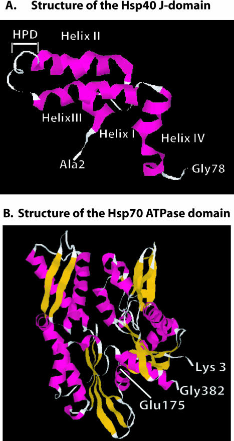 Fig 3.