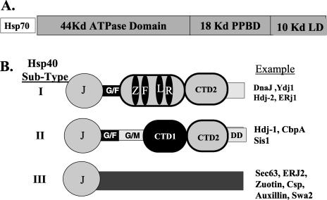 Fig 1.