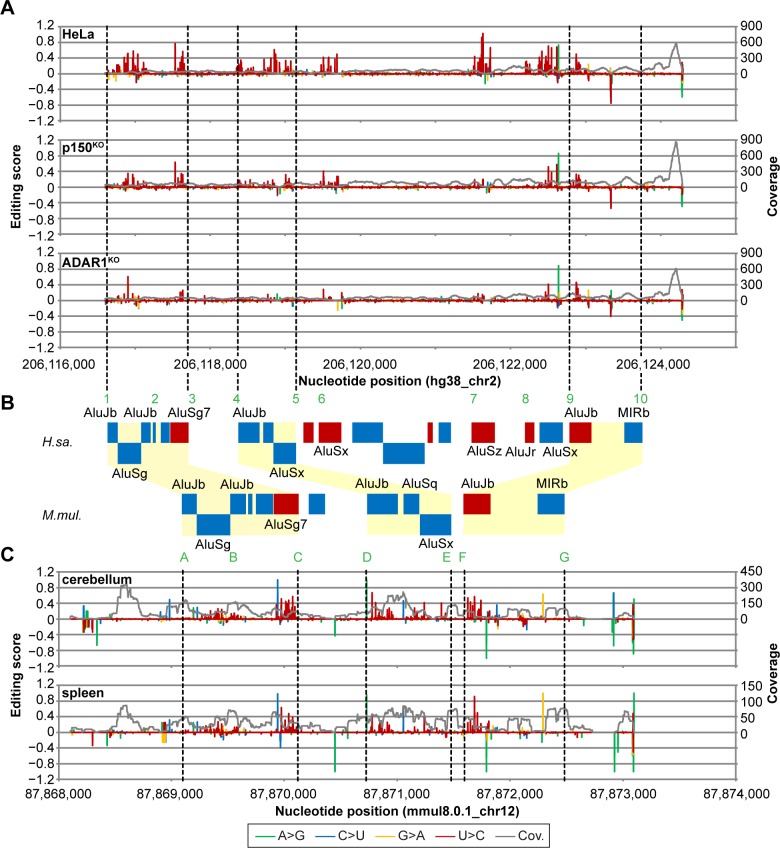 Fig 2