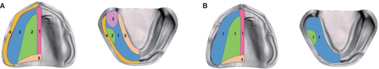 Fig. 2