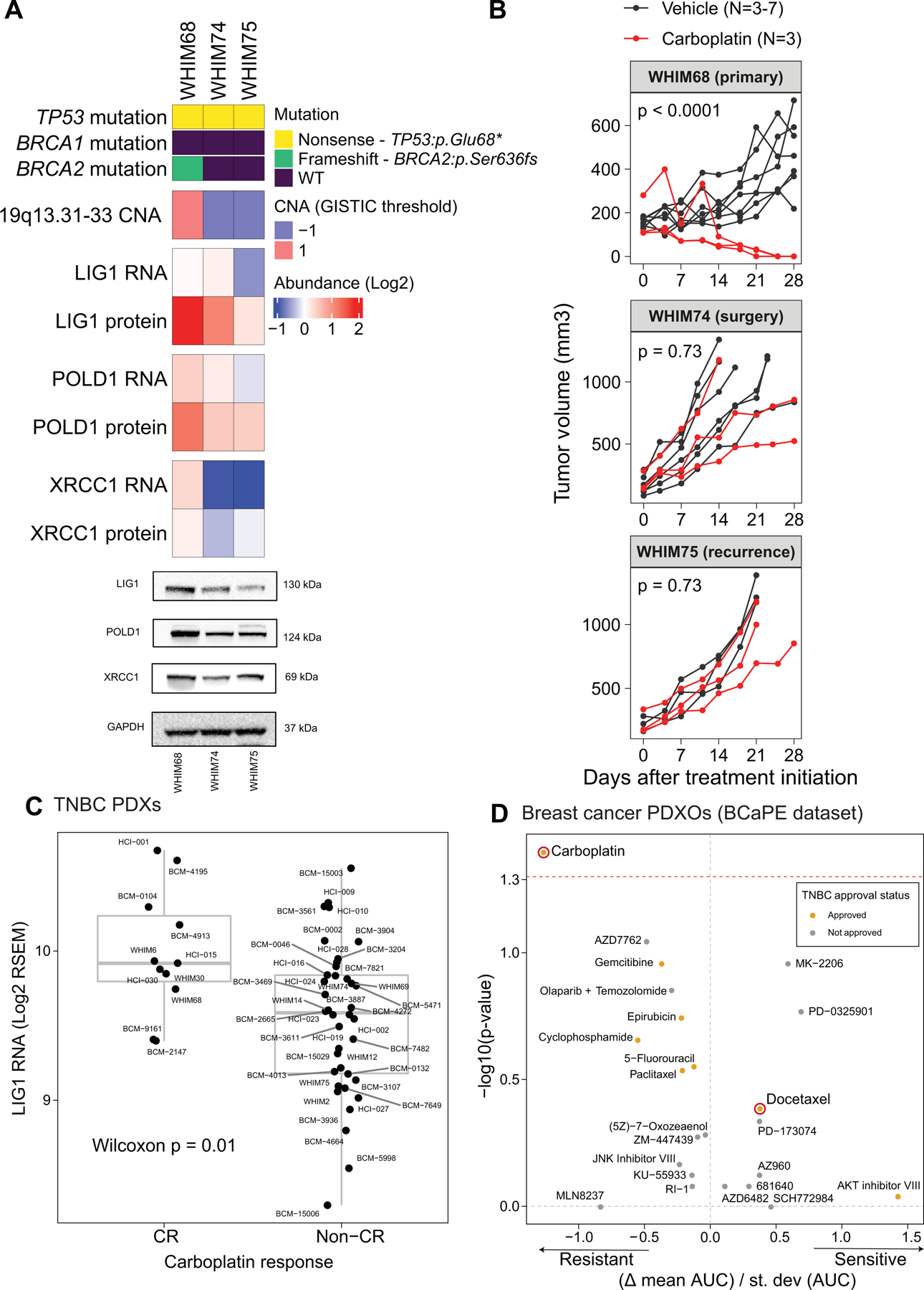 Fig 6: