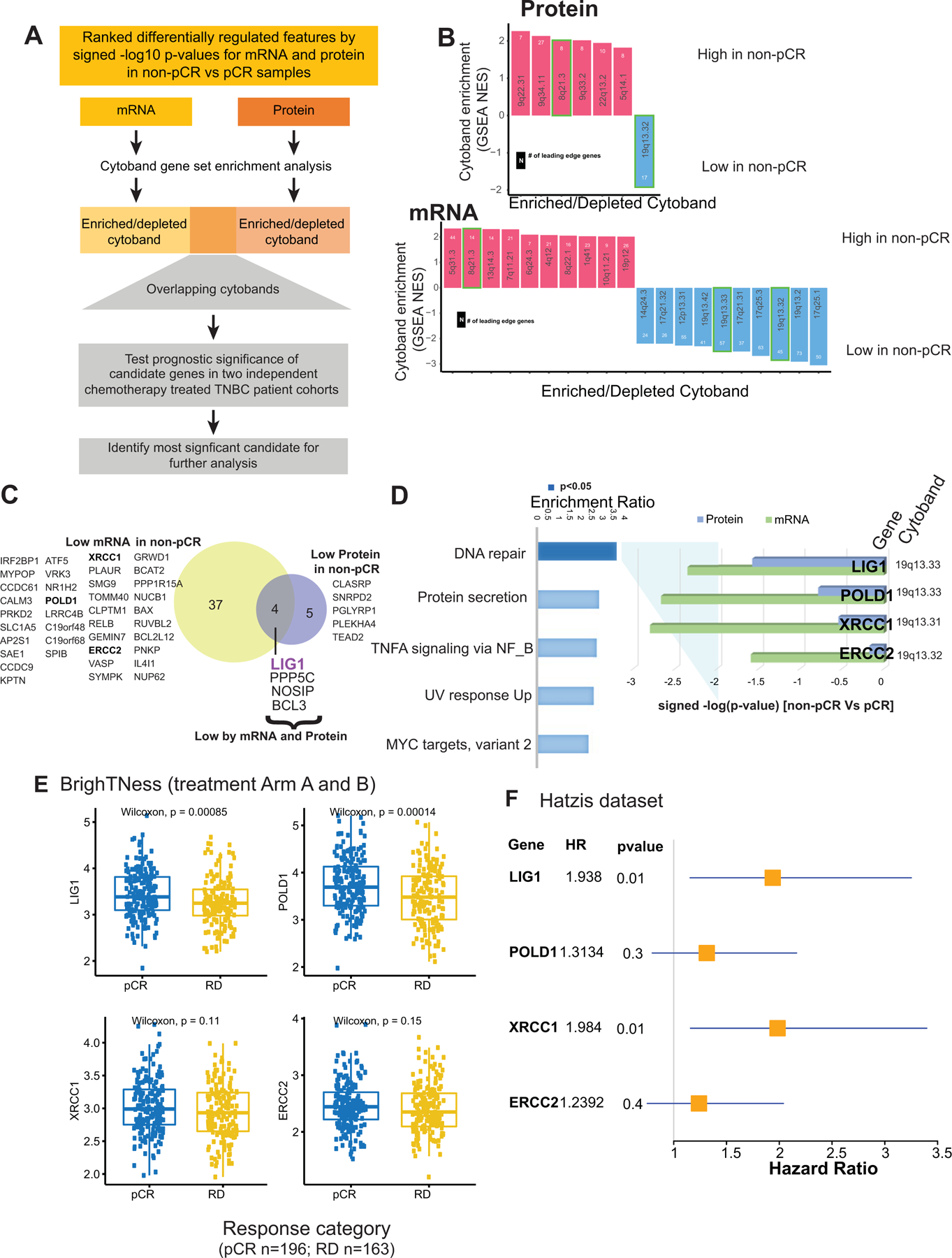 Fig 4: