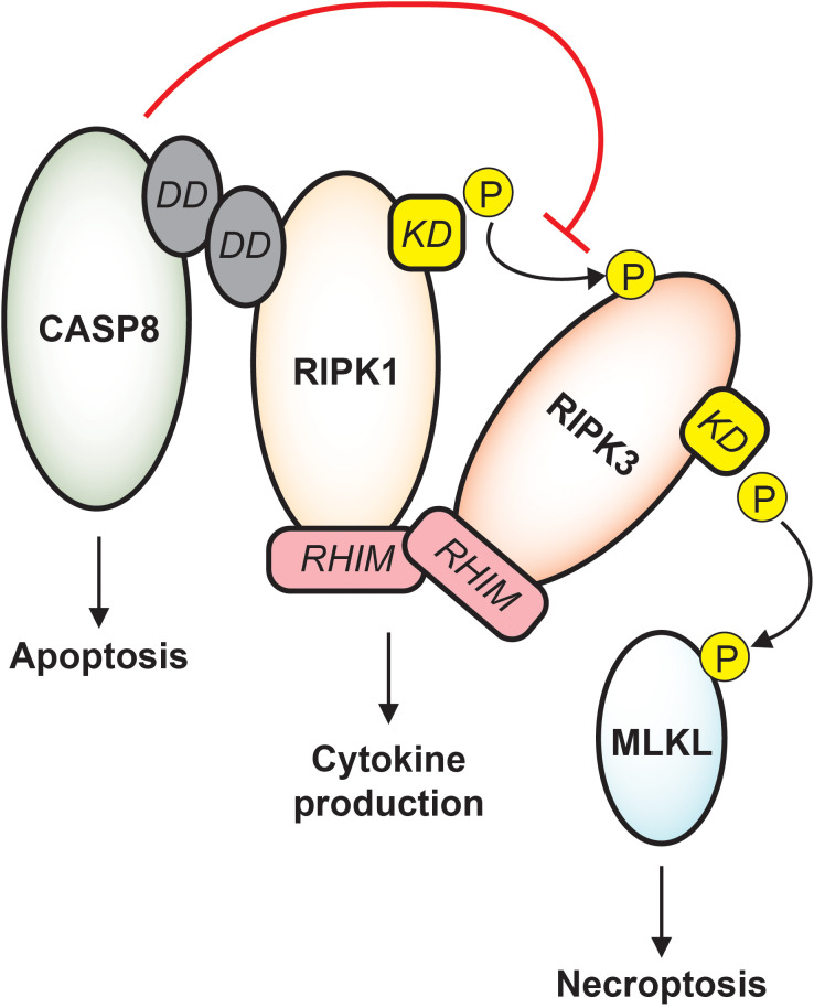 Figure 2