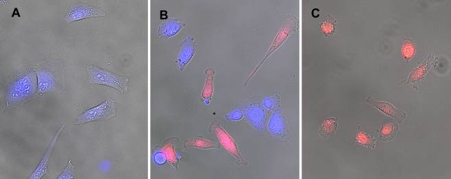 Figure 2.