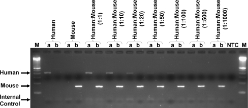 Figure 4.