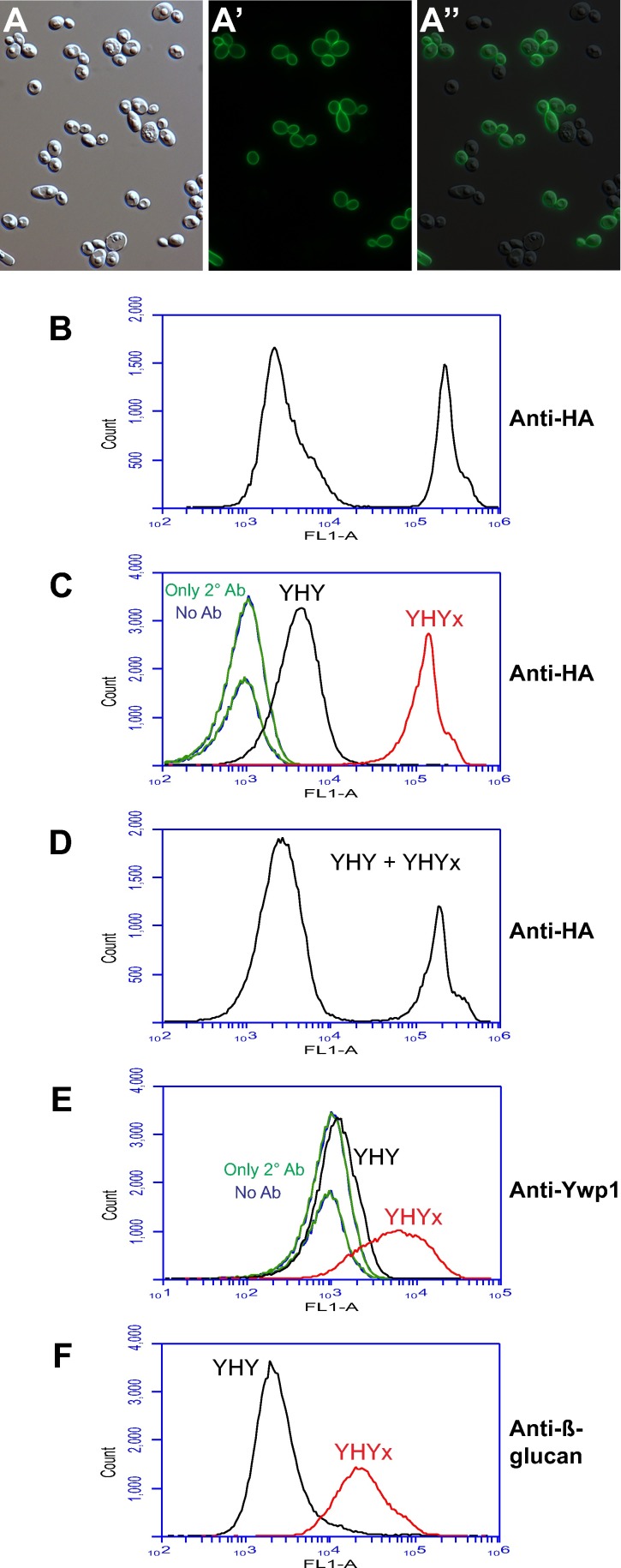 Fig 12