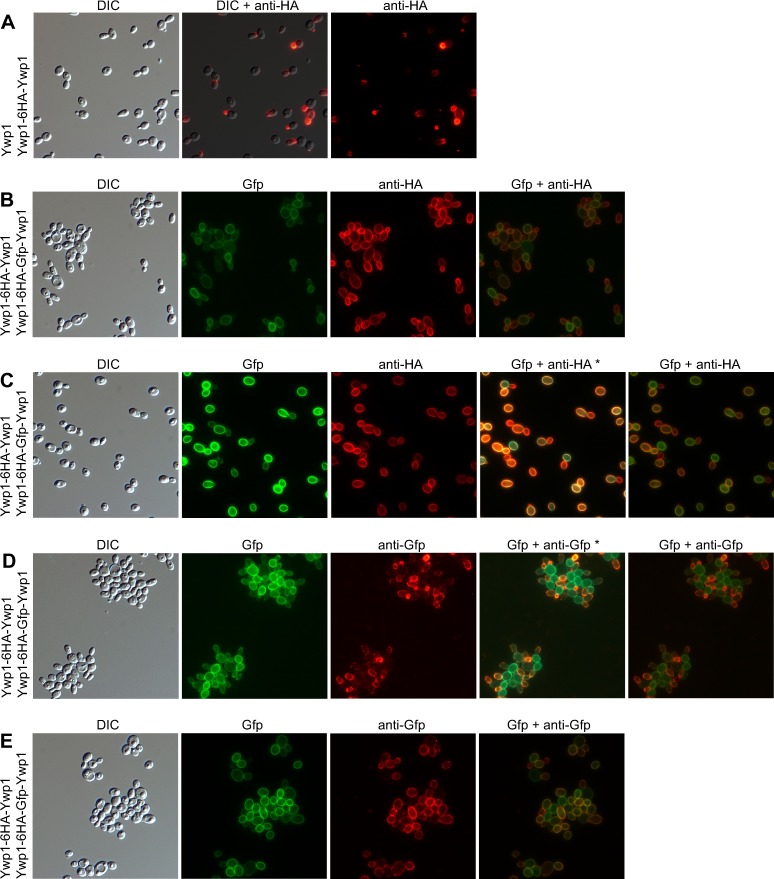 Fig 14