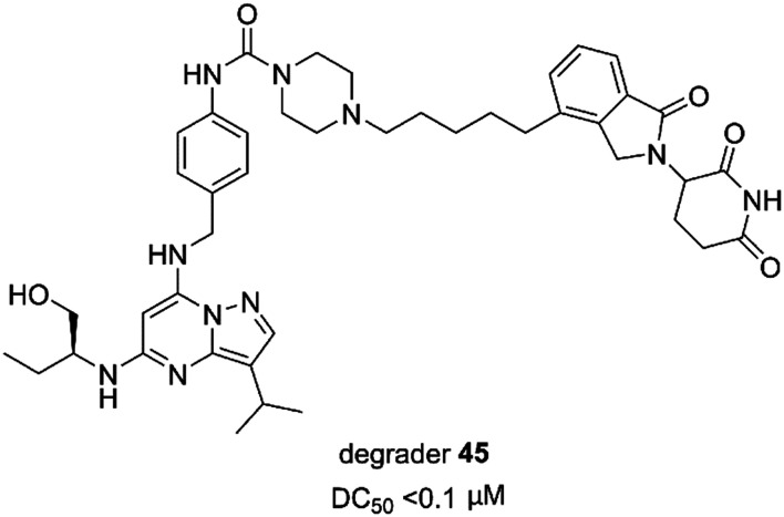 Fig. 19