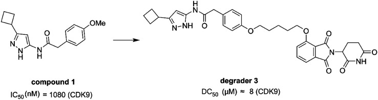 Fig. 13