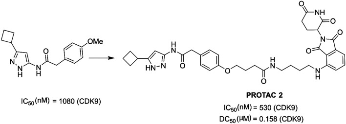 Fig. 18