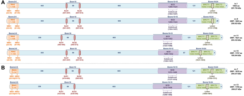 Figure 7.