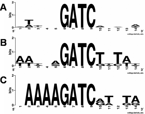 FIGURE 7.