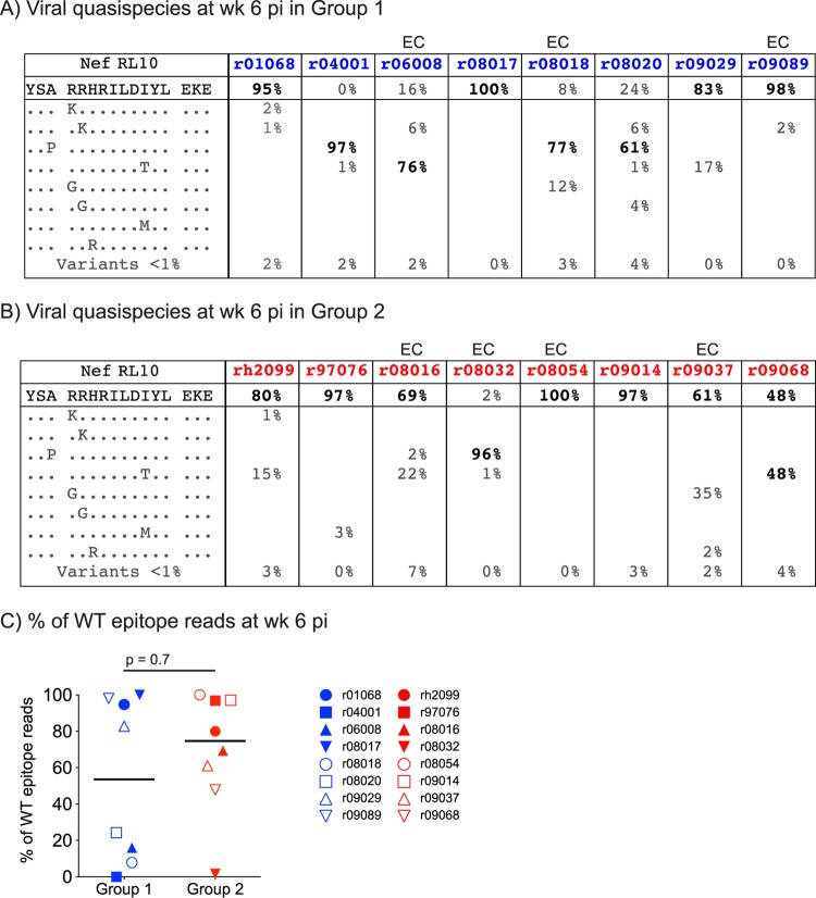 FIG 7