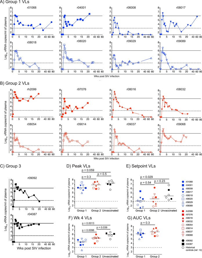 FIG 6