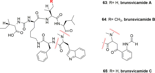 Figure 14