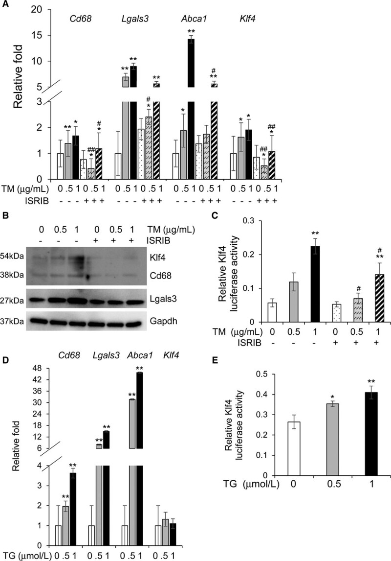 Figure 4.