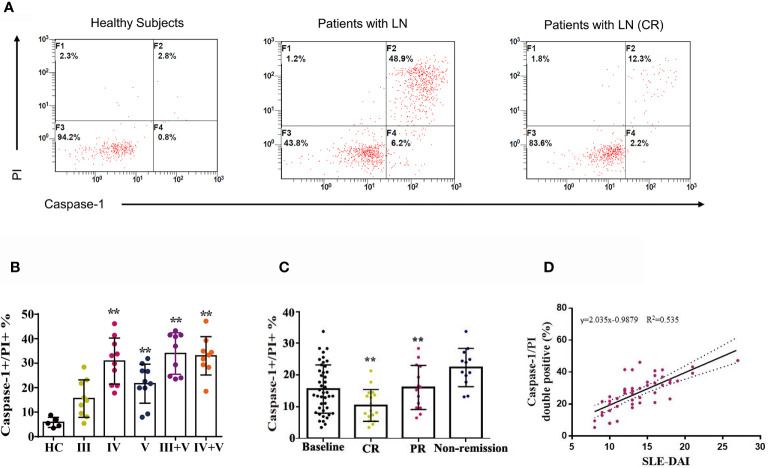 Figure 4