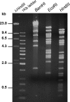 FIG. 1.