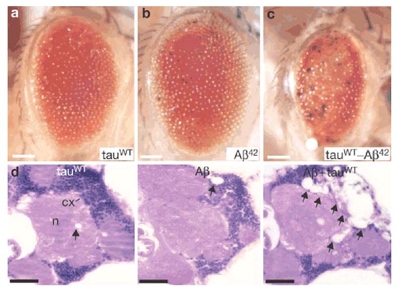 Fig. 6