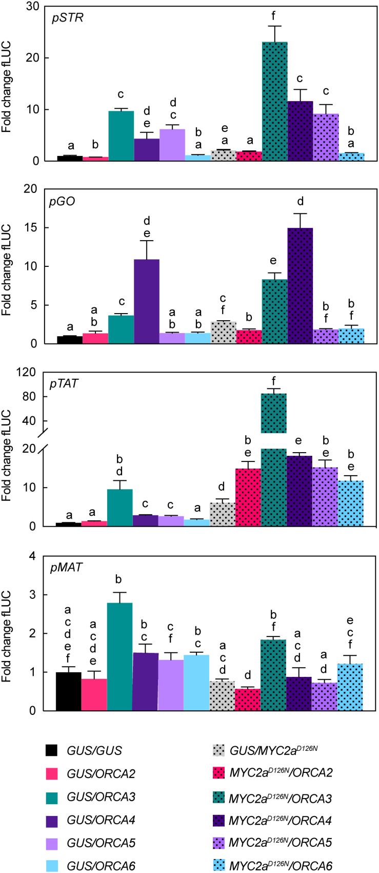 FIGURE 6