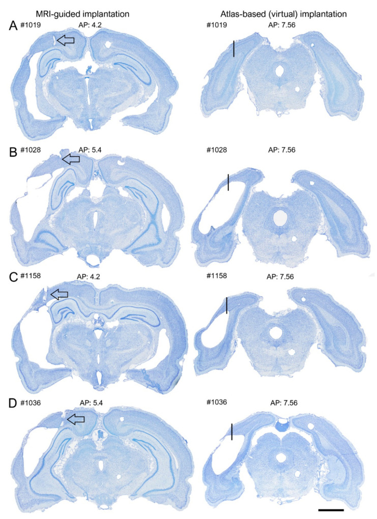 Figure 10