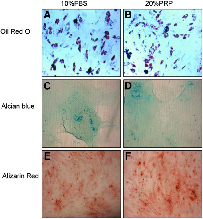 FIG. 7.