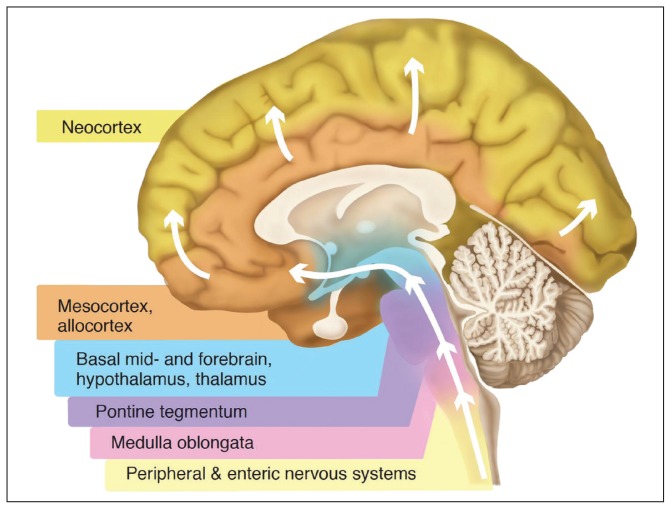 FIGURE 1