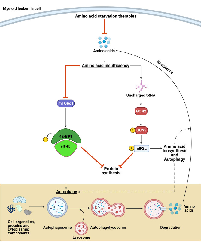 Figure 6