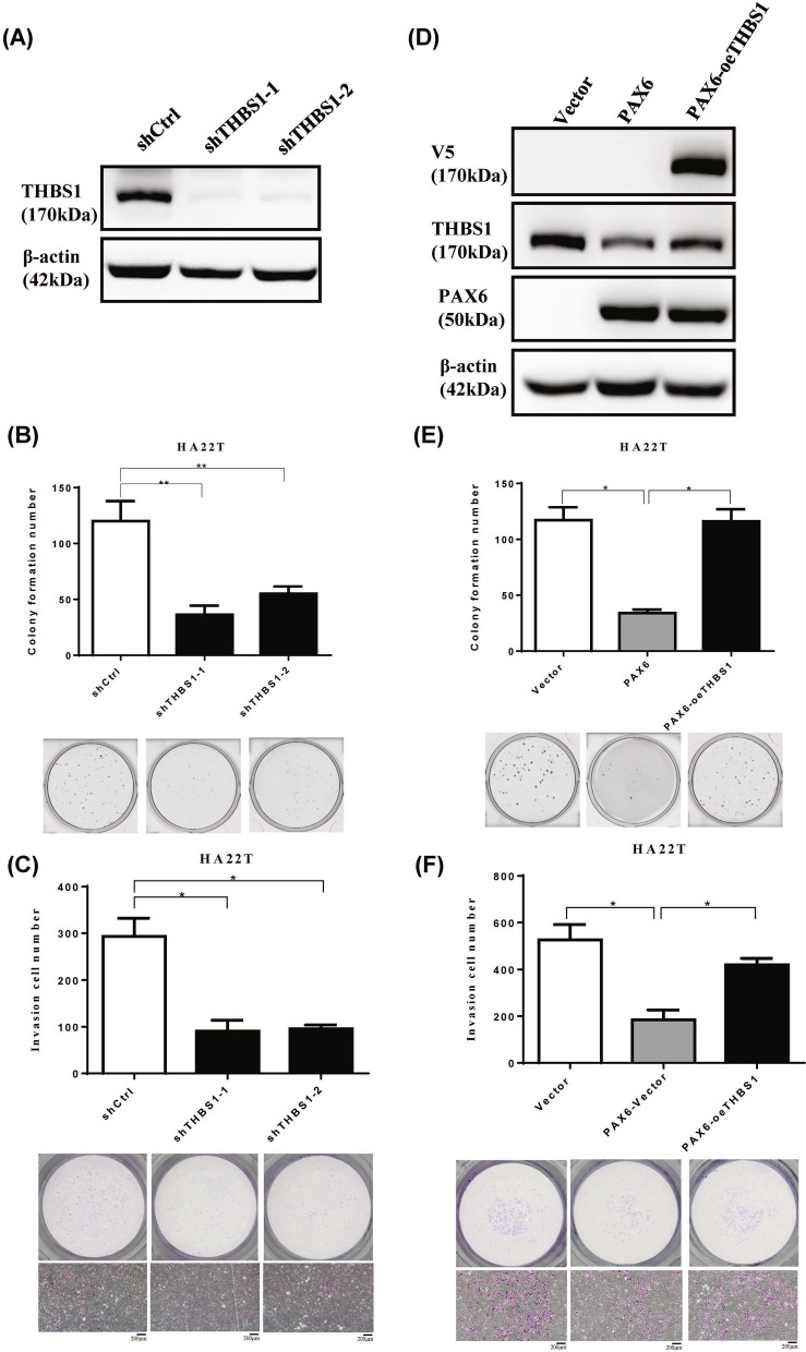 Fig. 9