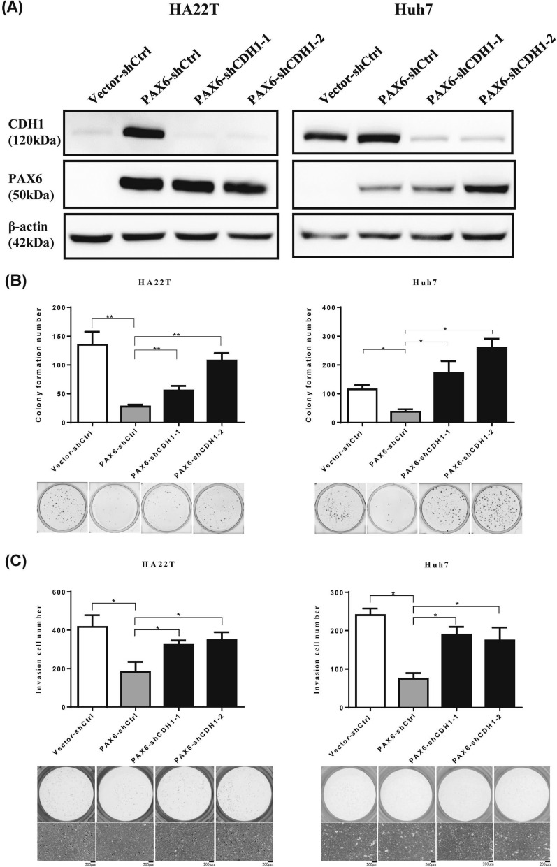 Fig. 8