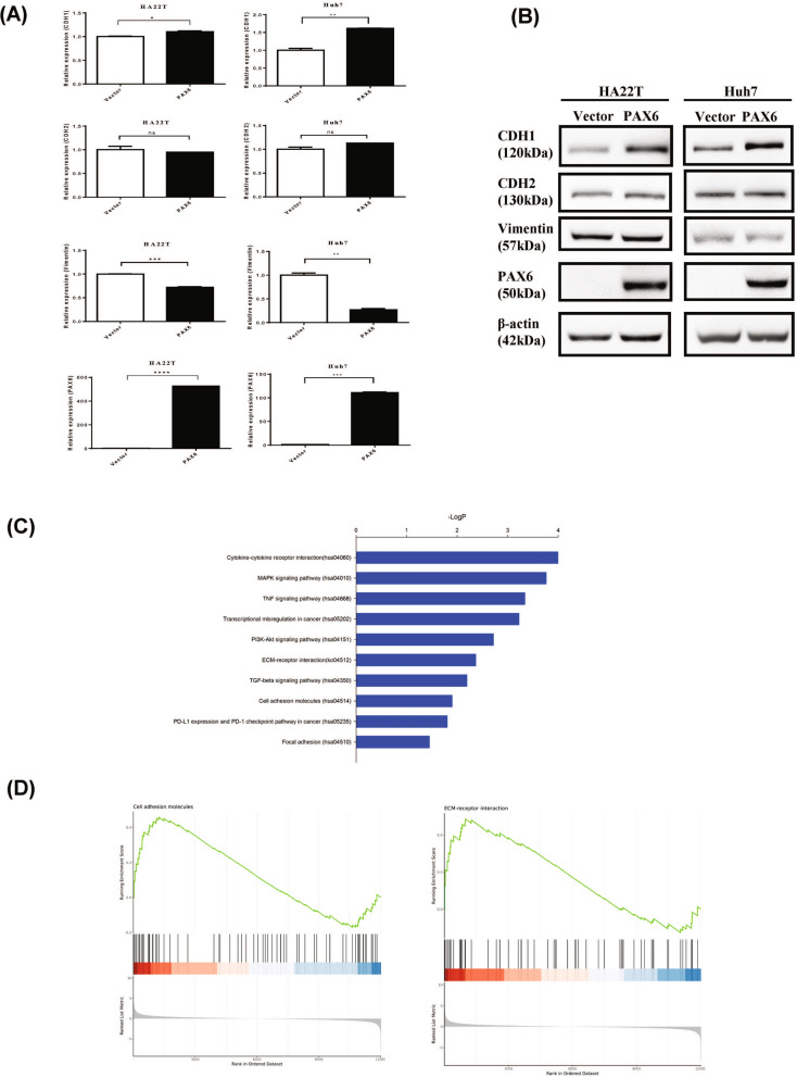 Fig. 7