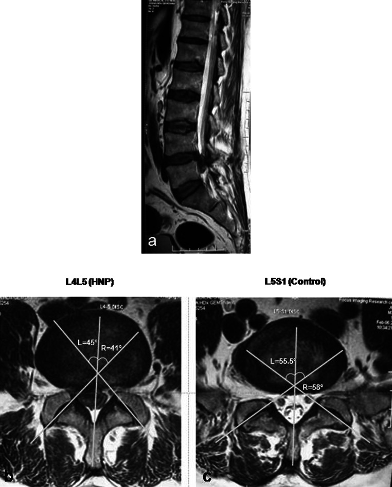 Fig. 3