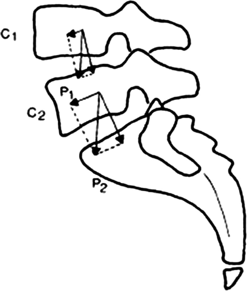 Fig. 5